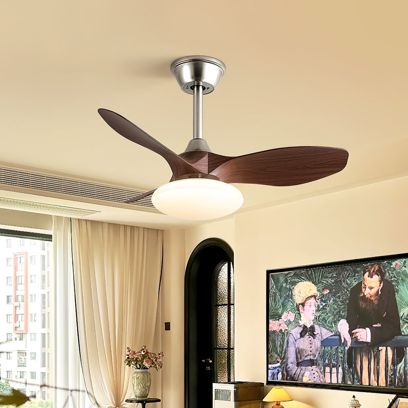 Jettry Ceiling Fan Light