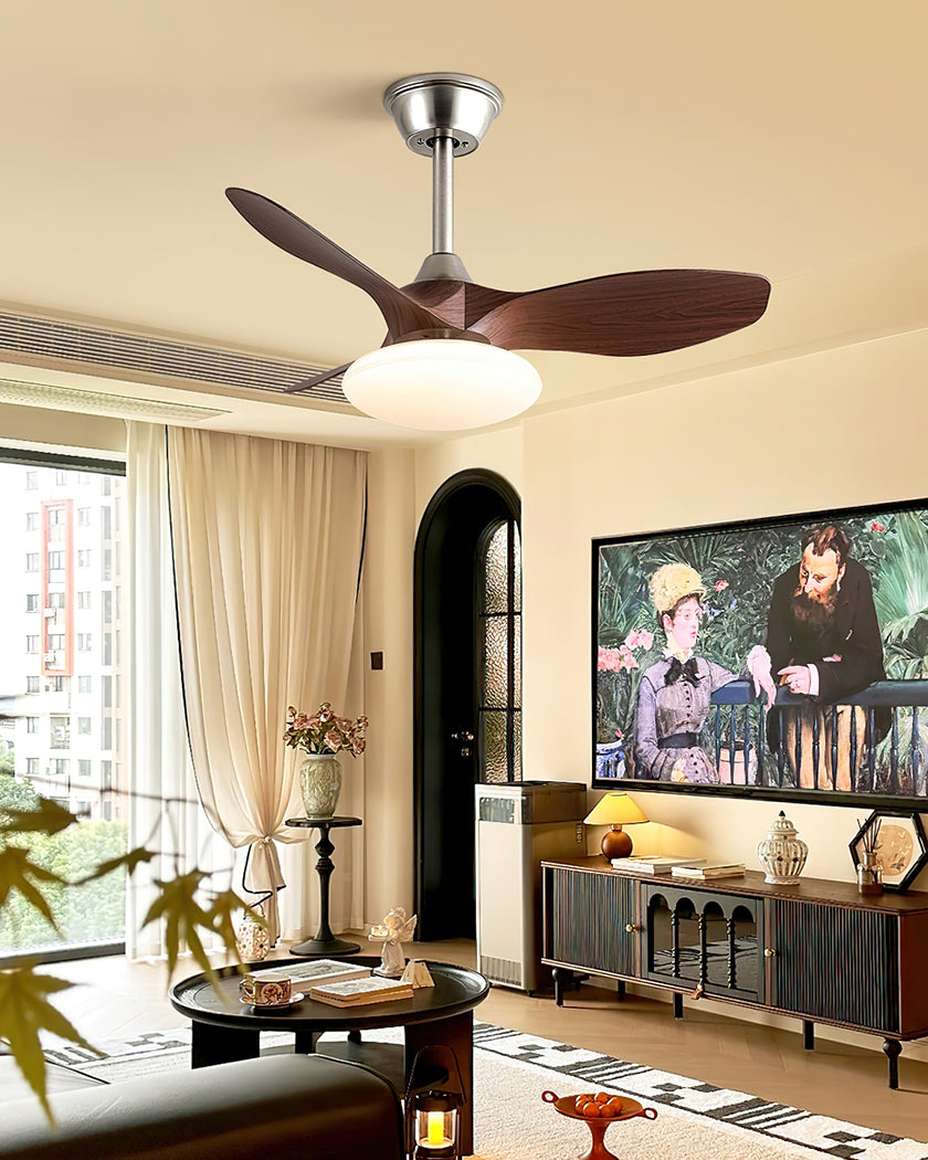 Jettry Ceiling Fan Light