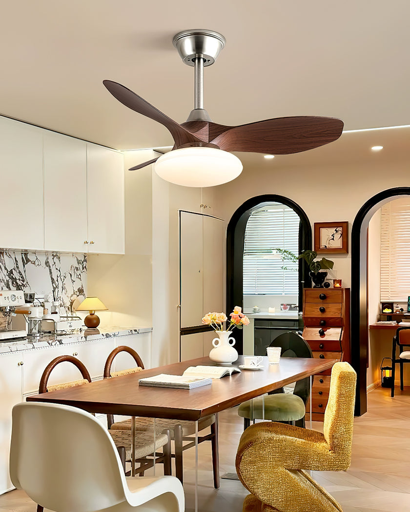 Jettry Ceiling Fan Light