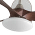 Jettry Ceiling Fan Light