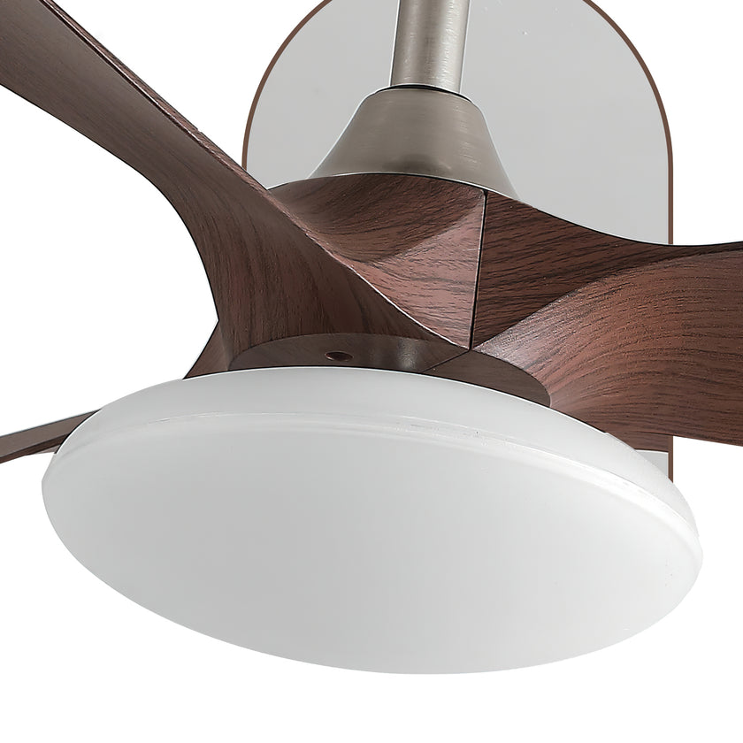 Jettry Ceiling Fan Light