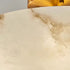 Meyda Alabaster Ceiling Light