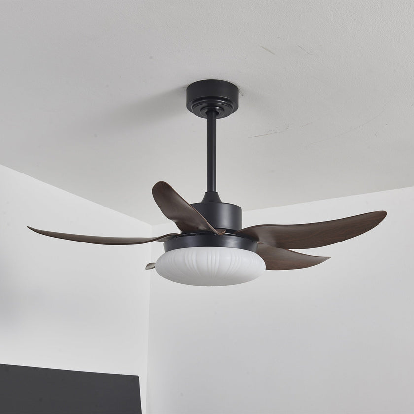 Moasis Ceiling Fan Light