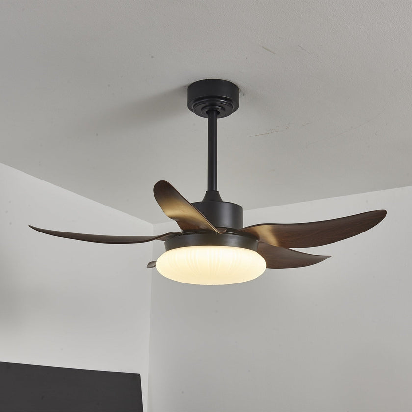 Moasis Ceiling Fan Light