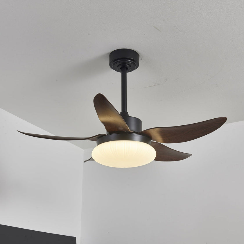 Moasis Ceiling Fan Light