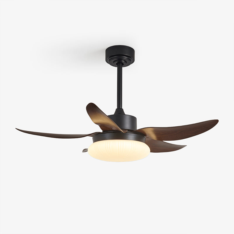 Moasis Ceiling Fan Light