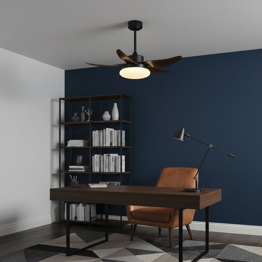 Moasis Ceiling Fan Light