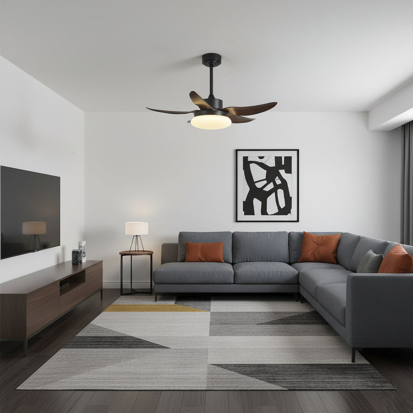 Moasis Ceiling Fan Light