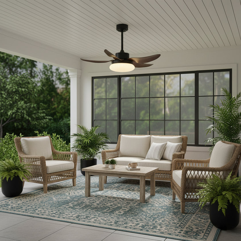 Moasis Ceiling Fan Light