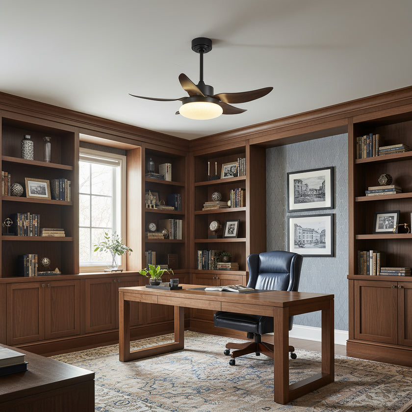 Moasis Ceiling Fan Light