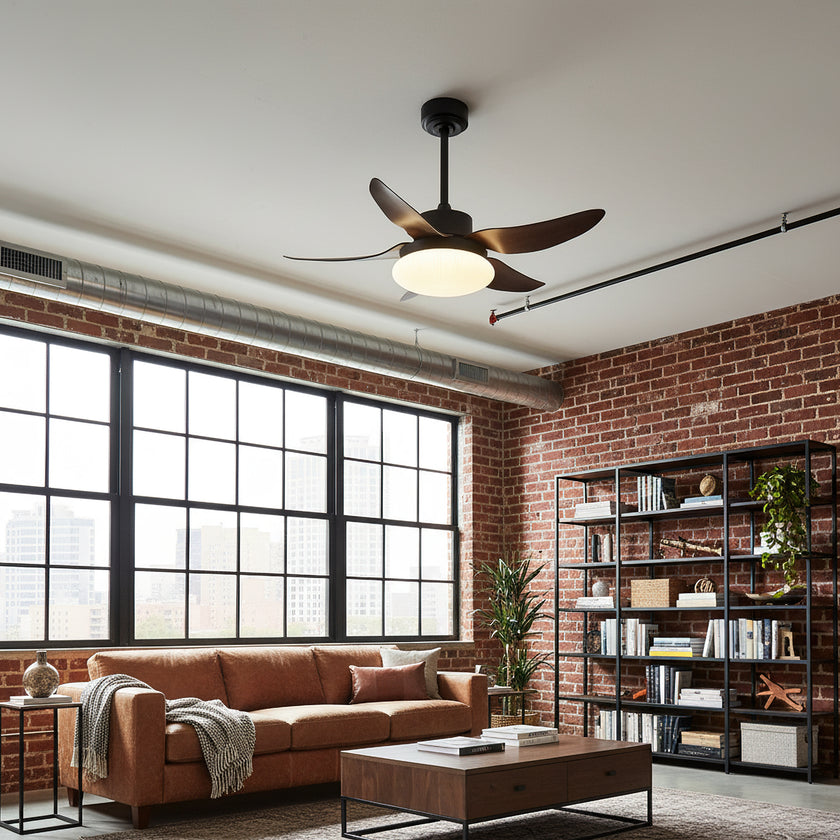 Moasis Ceiling Fan Light