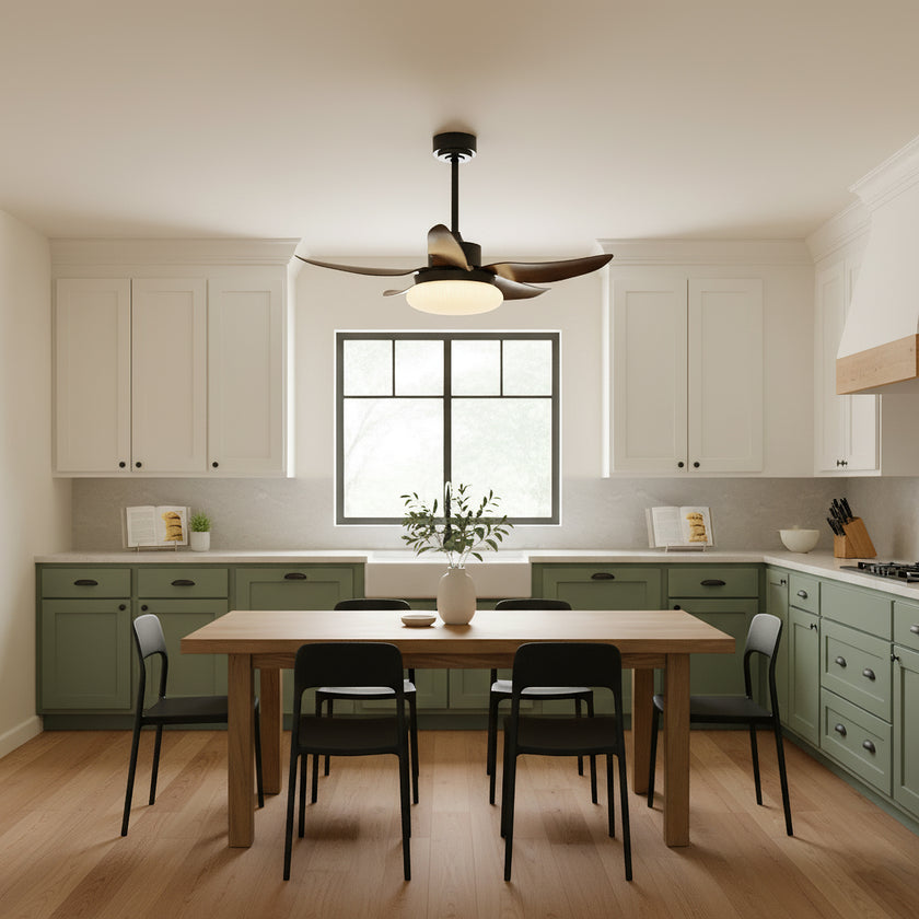 Moasis Ceiling Fan Light