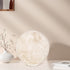 Moon Table Lamp