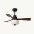 Mosley Ceiling Fan Light