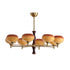 Persimmon Chandelier