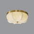 Possini Ceiling Lamp