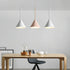 Reddy Road Pendant Lamp