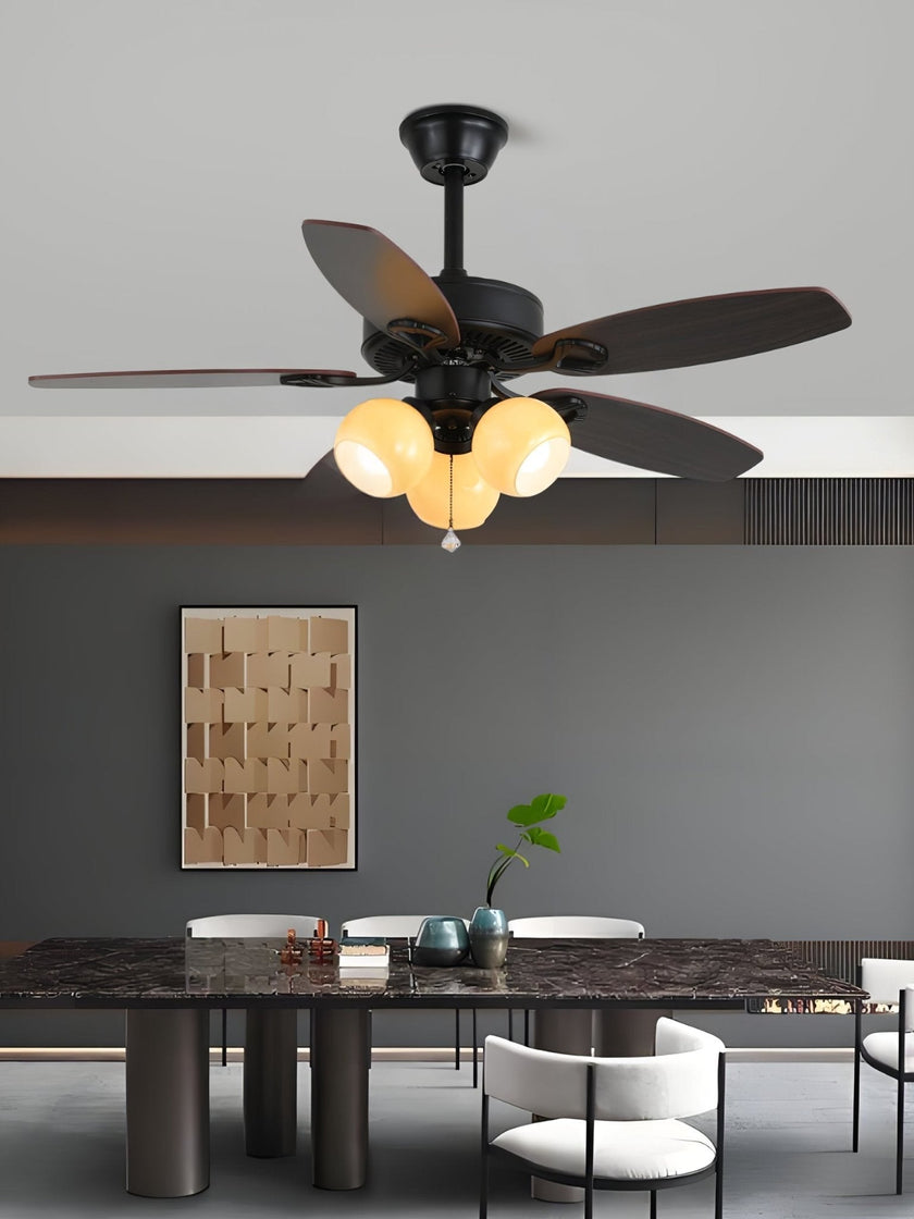 Rishika Ceiling Fan Light