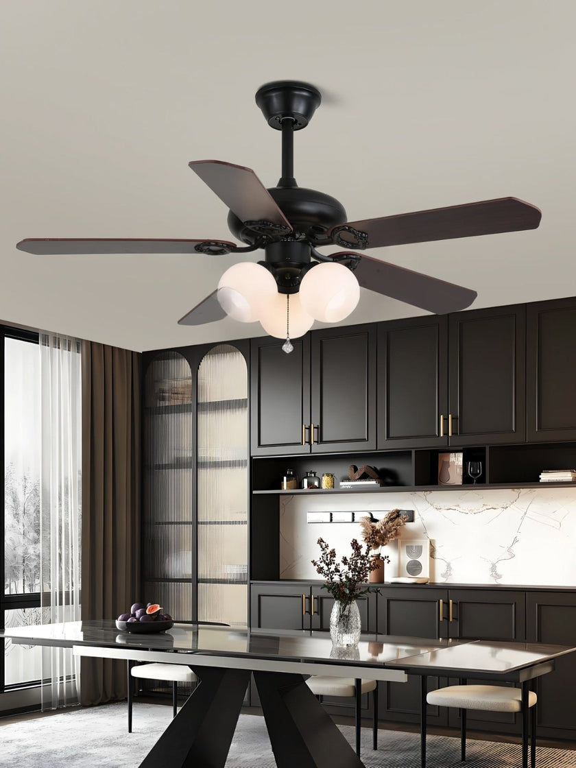 Rishika Ceiling Fan Light