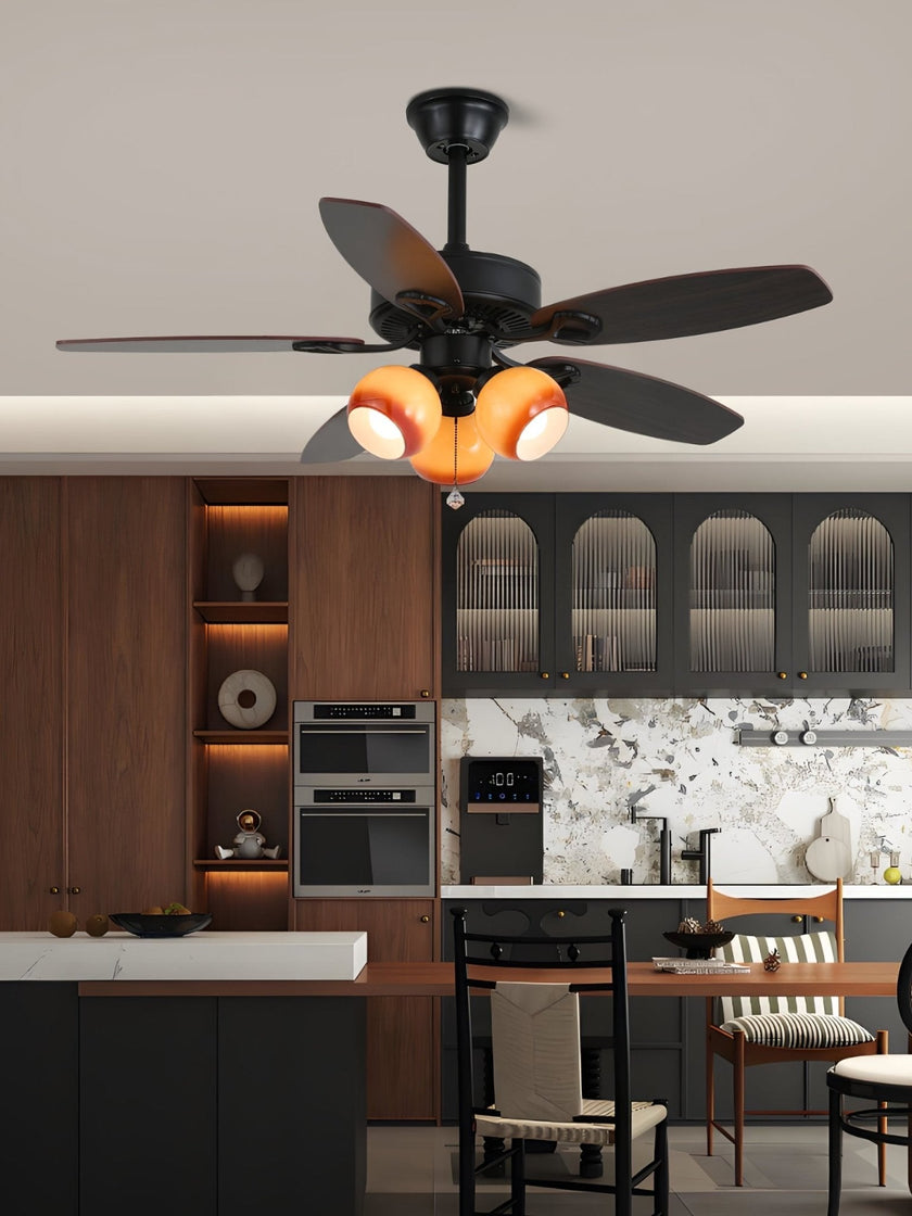 Rishika Ceiling Fan Light