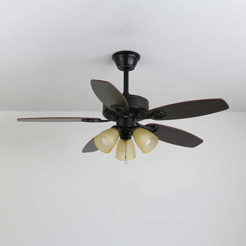 Rishika Ceiling Fan Light