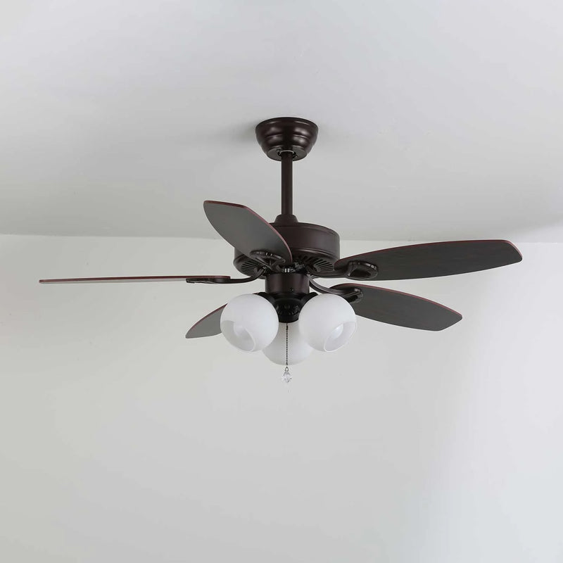 Rishika Ceiling Fan Light