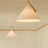 Slide Ceiling Light