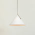 Slide Pendant Light