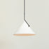 Slide Pendant Light