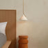 Slide Pendant Light