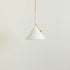 Slide Pendant Light