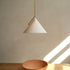 Slide Pendant Light
