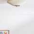 Stefanie Ceiling Light