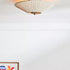 Stefanie Ceiling Light