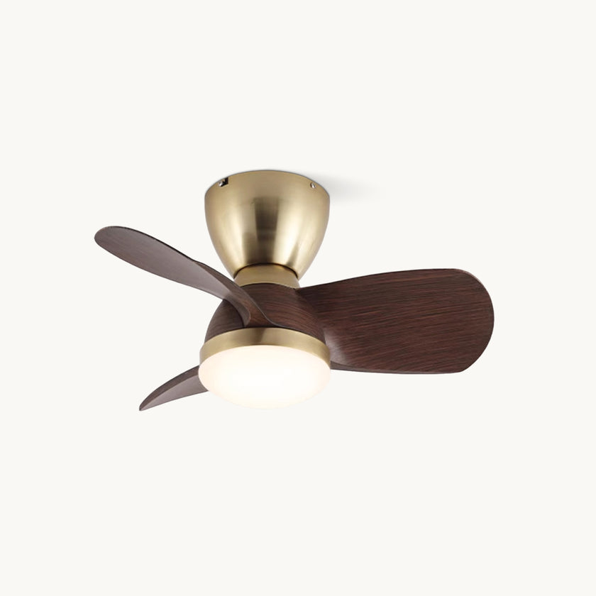 Troyes Ceiling Fan Light
