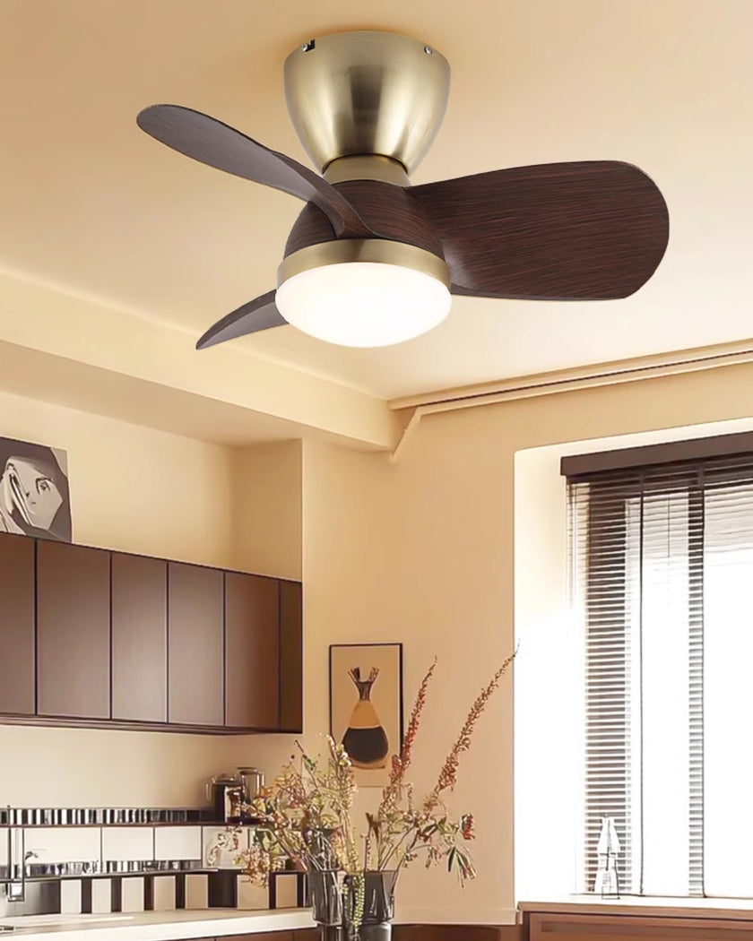 Troyes Ceiling Fan Light