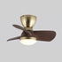 Troyes Ceiling Fan Light