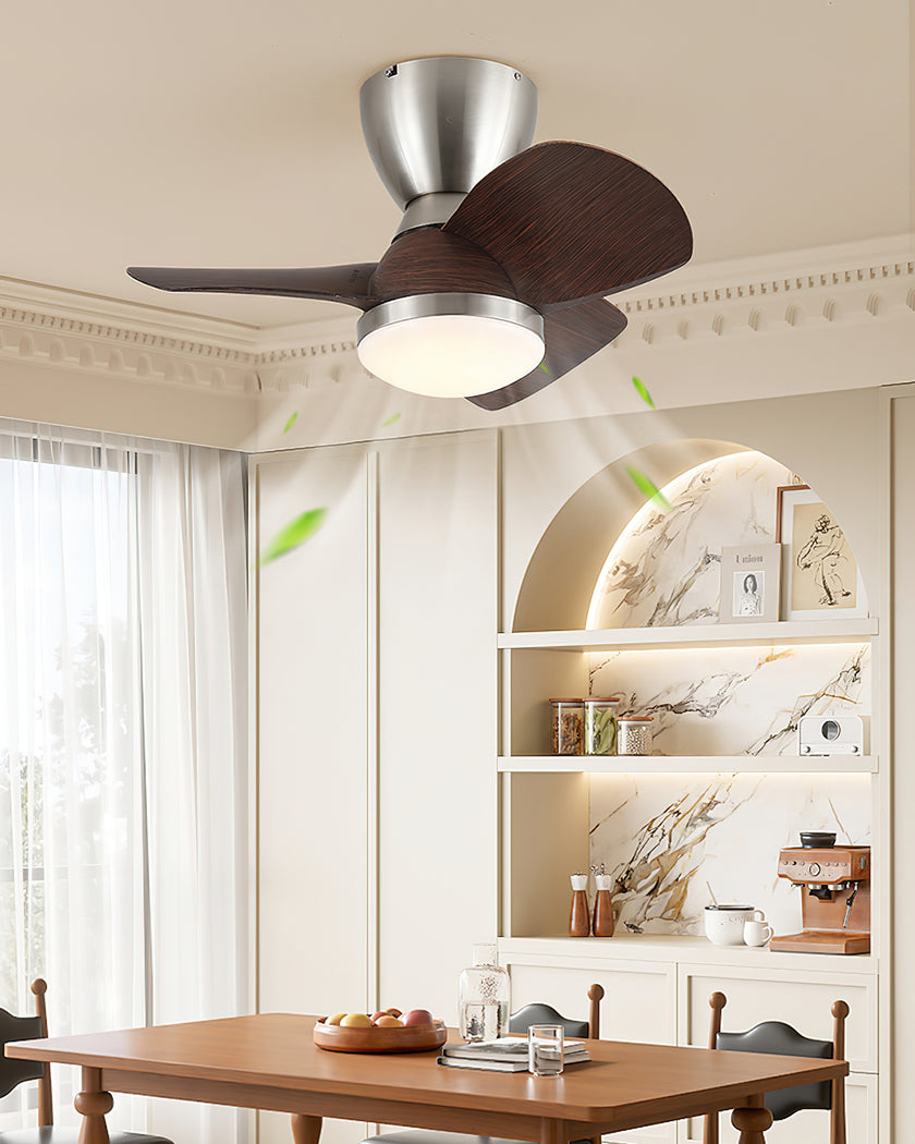 Troyes Ceiling Fan Light