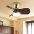 Troyes Ceiling Fan Light