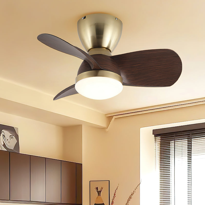 Troyes Ceiling Fan Light