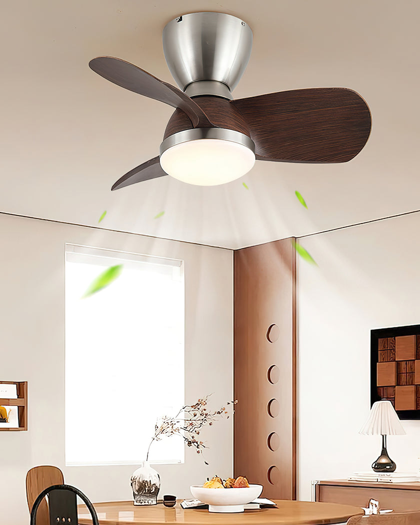 Troyes Ceiling Fan Light