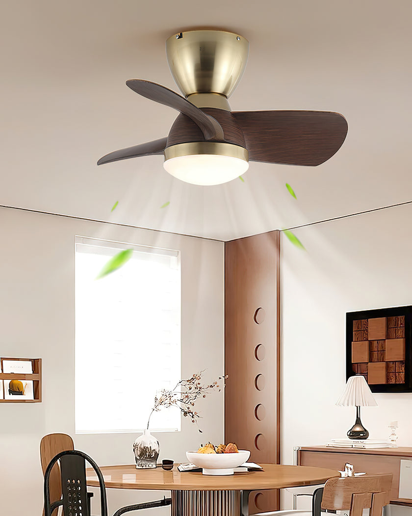 Troyes Ceiling Fan Light