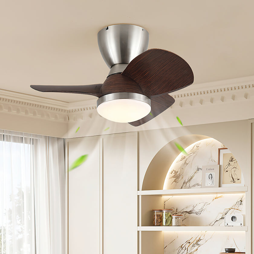 Troyes Ceiling Fan Light