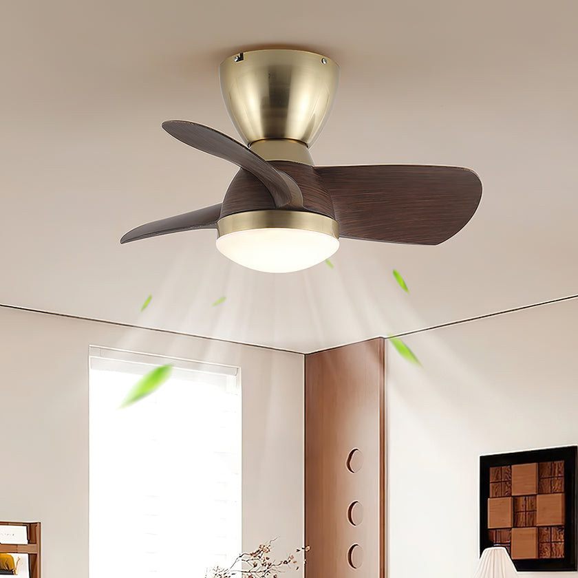 Troyes Ceiling Fan Light