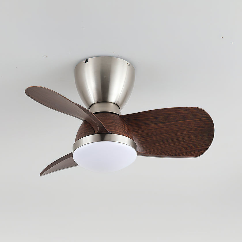 Troyes Ceiling Fan Light