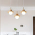 Wood Fruit Pendant Lamp