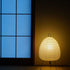 Akari Table Lamp
