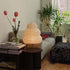 Akari Table Lamp
