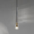 Apollinaire Pendant Light