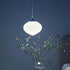 Lamella Pendant Light